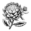 © Vintage Studio - Beautiful protea flower, black sketch, emblem, simple vector illustration, old engraving style, vintage protea logo, trendy sign, hand drawn flower design, botanical illustration