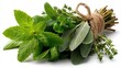 © กาซือมะ สาและ - a bunch of fresh herbs on a white isolated background, aromatic and fresh lighting