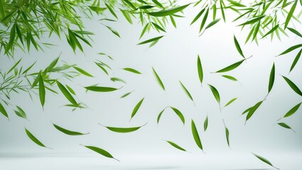 Wall Mural - isolated green leaves and bamboo flying in the air against a background