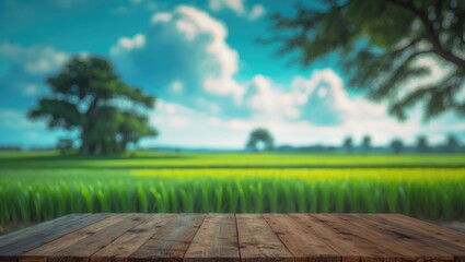 Aufkleber - Vacant wooden table overlooking rice field and sky