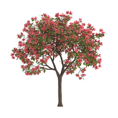 pink flowering tree digital art abstract background design