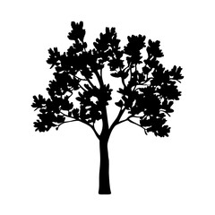 Wall Mural - download black tree silhouette vector graphic for nature designs and tree illustration projects