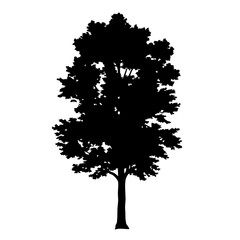 Wall Mural - black tree silhouette vector illustration for graphic design and nature related projects isolated on