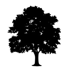 Wall Mural - download black tree silhouette vector graphic for landscape design and nature illustration use case