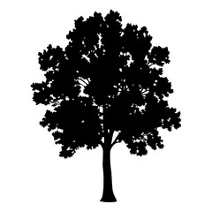 Wall Mural - download tree silhouette vector illustration of deciduous tree with leaves for free use graphic