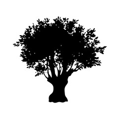 Wall Mural - download black tree silhouette vector graphic for nature illustration and landscape design projects