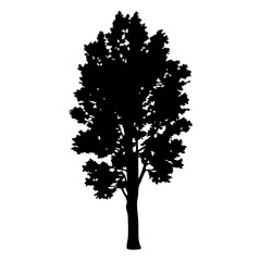 Wall Mural - black tree silhouette vector illustration for nature backgrounds and landscape designs isolated art,