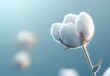 © yong - A close-up of a soft white cotton boll with a blurred blue background.