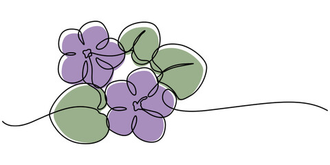 Fototapete - A black line art drawing of an African violet with a stylized flowering plant. An illustration of a Saintpaulia flowering plant on a white background, African violet in continuous line art drawing one