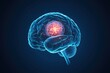 © mat - Affected area of brain tumour