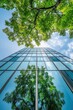 © Natchanok - Modern Architecture Meets Natural Beauty Trees Reflecting Sky on Glass Facade of Building Upward Angle