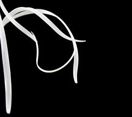 Aufkleber - Light Streaks Dance Across Darkness, Graceful Lines Illuminate The Void. Simple Curves, Elegant Form. A Beautiful Texture Against Black. Clean Visual, Calm Appeal.