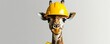 © kirania - Giraffe wearing a yellow construction hard hat stares forward playfully