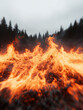 © THINGDSGN - Forest wildfire under grey sky, symbol of environmental emergency and climate disruption