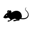 © Mahmudul - Silhouette of a Black Mouse with Curved Tail on White Background