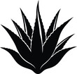 © Nathray - alovera vector silhouette