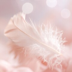 close up of beautiful pink feather falling with abstract colorful background, graphic resource