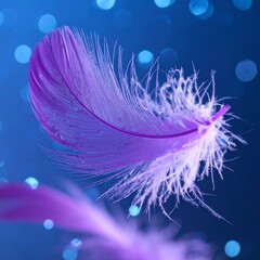 close up of beautiful pink feather falling with abstract colorful background, graphic resource