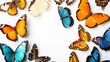 © ACE STEEL D - Vibrant Collection of Colorful Butterflies on White Background