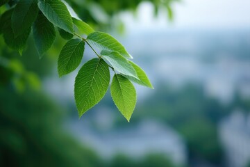 Wall Mural - close-up of urban greenery focusing on leaves against blurred cityscape background