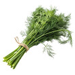 © shahzaib - Fresh Dill Herb Culinary Uses and Health Benefits isolated on transparent background