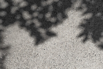 Fototapete - Leaves shadows. Leaves bokeh nature sunny summer cozy background with sunlight. Leaves and trees shadows on gray concrete stone surface. Gray summer background copy space. Concrete wall with sunlight