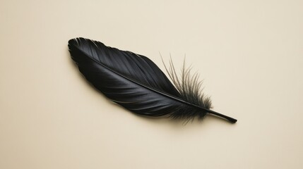 Poster - Single black feather on beige background.