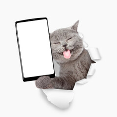 Aufkleber - Happy cat with tongue out holding big smartphone with white blank screen through torn white paper hole. Empty free space for mock up