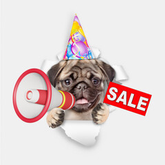 Aufkleber - Funny Pug puppy wearing party cap barking  looks through a hole in white paper into a megaphone and showing signboard with labeled 