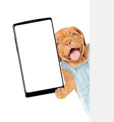 Poster - Happy Mastiff puppy wearing denim overalls shows big smartphone with blank screen behind blank wihte banner. Empty space for text. Isolated on white background