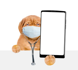 Aufkleber - Smart Mastiff puppy wearing like a doctor with stethoscope and protective mask showing big smartphone with white blank screen in it paw above blank white banner. isolated on white background