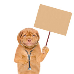 Poster - Mastiff puppy dressed like a doctor with stethoscope  holds blank placard on wooden stick. Isolated on white background