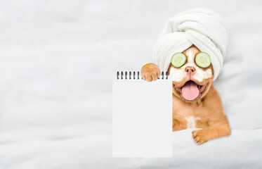 Fototapete - Funny Mastiff puppy with towel on it head and pieces of cucumber on it eyes relaxing on the bed at home and showing empty list. Top down view. Empty space for text
