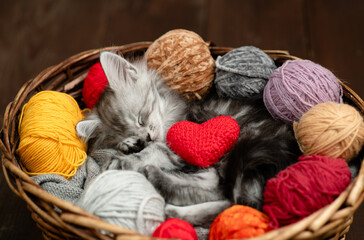 Aufkleber - Cozy maine coon kitten hugs ball of thread and sleeps inside a basket with red heart and many clews of thread