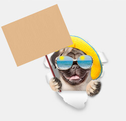 Leinwandbilder - Happy Pug puppy wearing mirrored sunglasses and summer hat looking through the hole in white paper and showing blank placard. Empty space for text