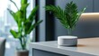 © Vangly - Modern decor featuring a sleek plant pot on a stylish table in a contemporary setting.