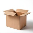 © ลลิดา ไชยศรีษะ - Open Cardboard Box on White Background