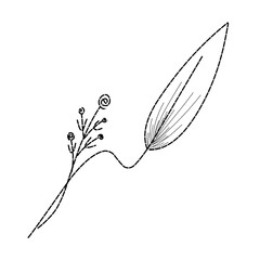 hand drawn leaf sketch,leaf line art,wedding invitation decoration