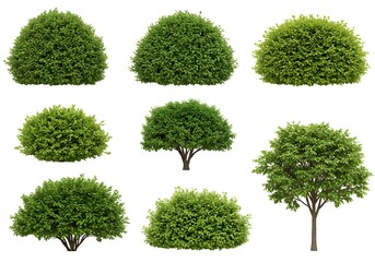A collection of various green bushes and trees isolated on a white background in a grid pattern