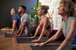 © Rido - Yoga class group during lesson at gym