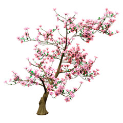 Wall Mural - 3d rendering magnolia tree on white