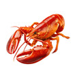 © CreativeVista - Isolated cooked lobster with large claws on a transparent background
