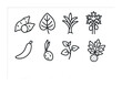 © Sanych - Vegetable and herb outline icons set – line style for gardening and cooking enthusiasts: sweet potato, leaf, bamboo, palm tree, chili, root, sprout, leaf herb.