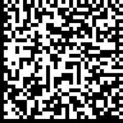 QR code with two borders filled black, without Position Detection Pattern, square design, and no background.