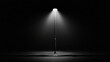 © Penatic Studio - A solitary streetlight illuminated in the encompassing darkness of the night