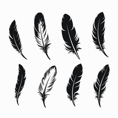 Wall Mural - feather black and white vector illustration set of bird feathers isolated graphic design element art