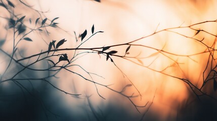 Wall Mural - silhouetted branches against a vibrant sunset sky, creating a serene and tranquil atmosphere