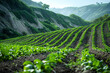 © MaryInPhoto - The diligent implementation of erosion control grids and earthworks showcases a methodical and systematic approach to combatting erosion on steep inclines, highlighting the unwavering stability and pr