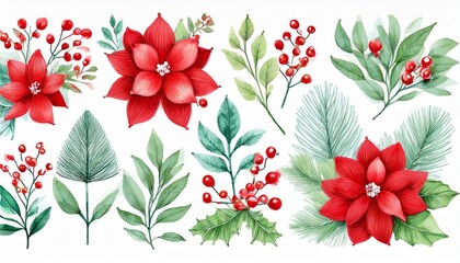 Wall Mural - festive watercolor collection of red flowers, green leaves and winter elements for holiday
