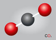 © Riki Rudd - Icon of carbon dioxide molecule co2 with ball and stick model vector